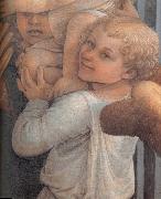 Fra Filippo Lippi Details of  Madonna and Child with Two Angels Germany oil painting artist